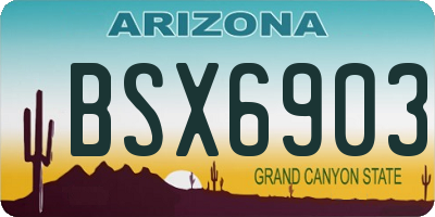 AZ license plate BSX6903