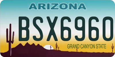 AZ license plate BSX6960