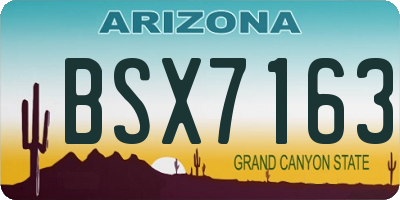 AZ license plate BSX7163