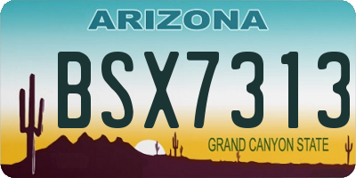 AZ license plate BSX7313