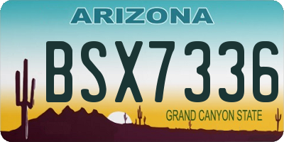AZ license plate BSX7336