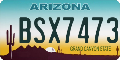AZ license plate BSX7473