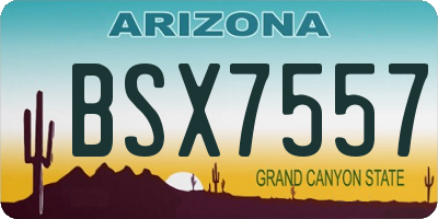 AZ license plate BSX7557