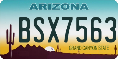 AZ license plate BSX7563