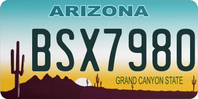 AZ license plate BSX7980