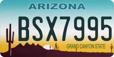 AZ license plate BSX7995