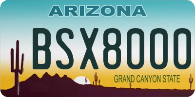AZ license plate BSX8000