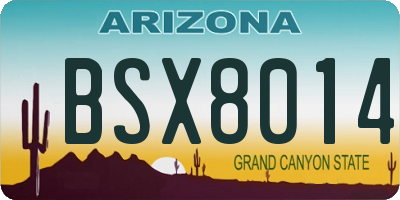 AZ license plate BSX8014