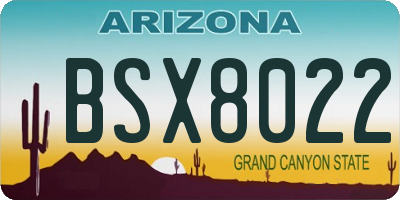 AZ license plate BSX8022