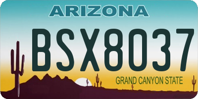 AZ license plate BSX8037