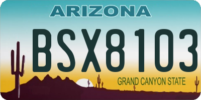 AZ license plate BSX8103