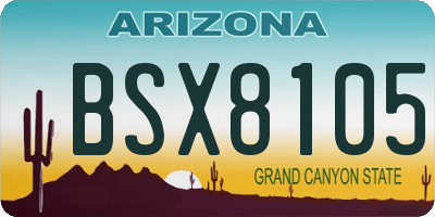 AZ license plate BSX8105