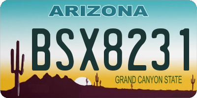 AZ license plate BSX8231