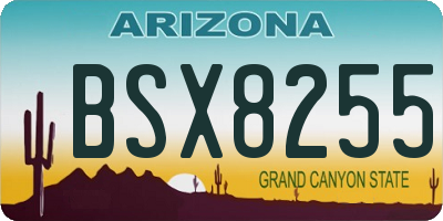 AZ license plate BSX8255