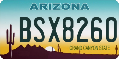 AZ license plate BSX8260