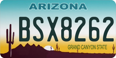 AZ license plate BSX8262