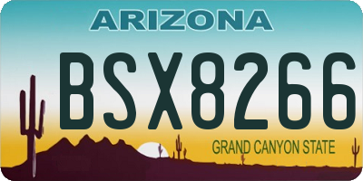 AZ license plate BSX8266