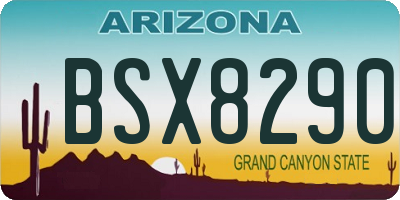 AZ license plate BSX8290