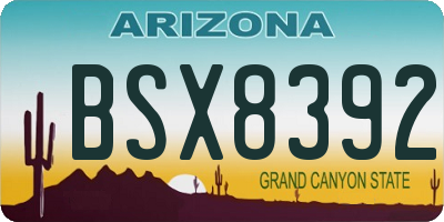 AZ license plate BSX8392