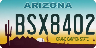 AZ license plate BSX8402