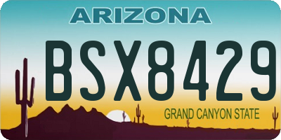 AZ license plate BSX8429