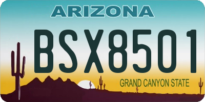 AZ license plate BSX8501