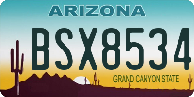 AZ license plate BSX8534