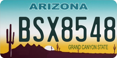 AZ license plate BSX8548