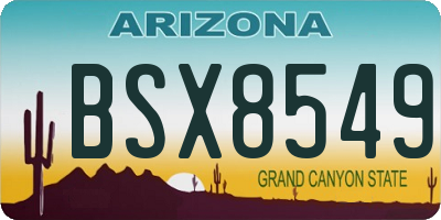 AZ license plate BSX8549
