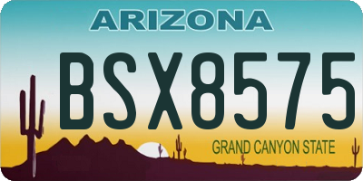 AZ license plate BSX8575