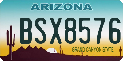 AZ license plate BSX8576