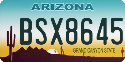 AZ license plate BSX8645