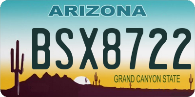 AZ license plate BSX8722