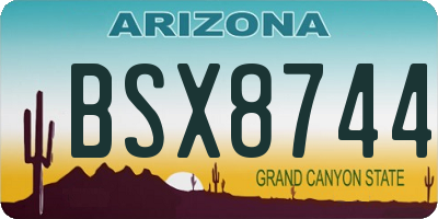 AZ license plate BSX8744