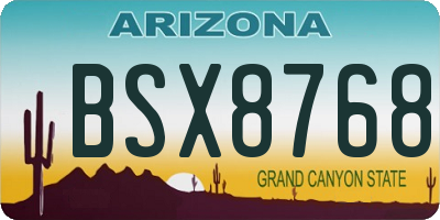 AZ license plate BSX8768