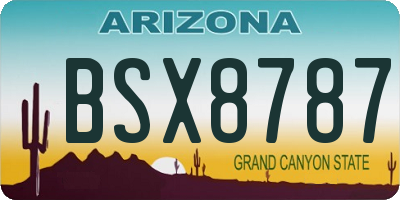 AZ license plate BSX8787
