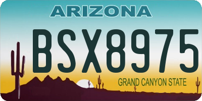 AZ license plate BSX8975