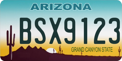 AZ license plate BSX9123
