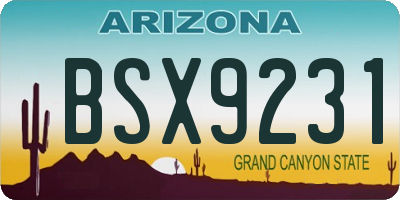 AZ license plate BSX9231