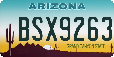 AZ license plate BSX9263