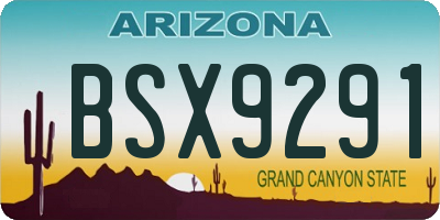 AZ license plate BSX9291