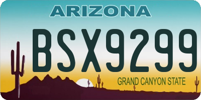 AZ license plate BSX9299