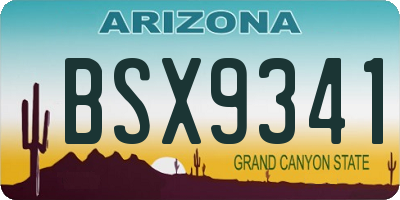 AZ license plate BSX9341