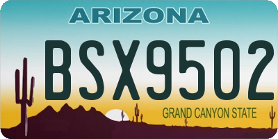 AZ license plate BSX9502