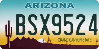 AZ license plate BSX9524