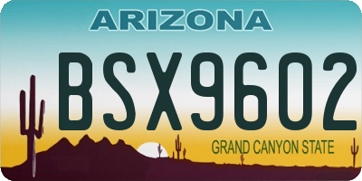 AZ license plate BSX9602