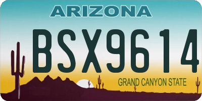 AZ license plate BSX9614