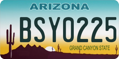AZ license plate BSY0225