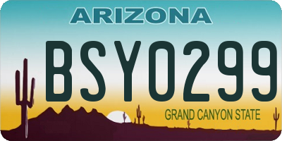 AZ license plate BSY0299