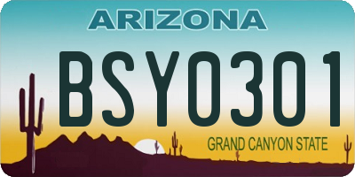 AZ license plate BSY0301